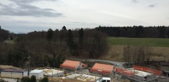 IMG_2894 IMG_2894