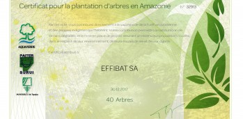 32913_AQV - Certificat 40 arbres-page-001