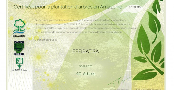 Effibat soutient Aquaverde : Premiers arbres financés