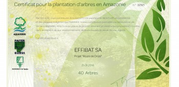 certificat arbres Route de Drize-page-001