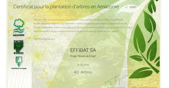 Effibat soutient Aquaverde : Nouveau projet = nouveaux arbres financés