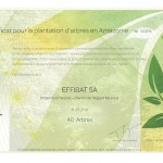 certificats-arbres-bellevue