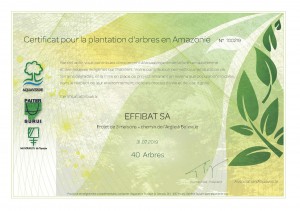 certificats-arbres-bellevue