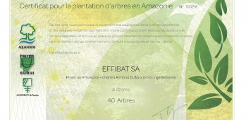 certificats-arbres-collonge