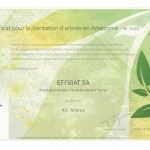 certificats-arbres-veyrier