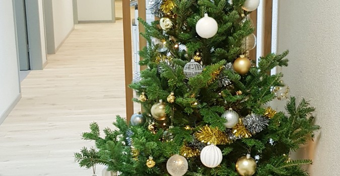 Effibat : Un petit air de noël